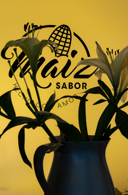 maiz sabor resolucion
